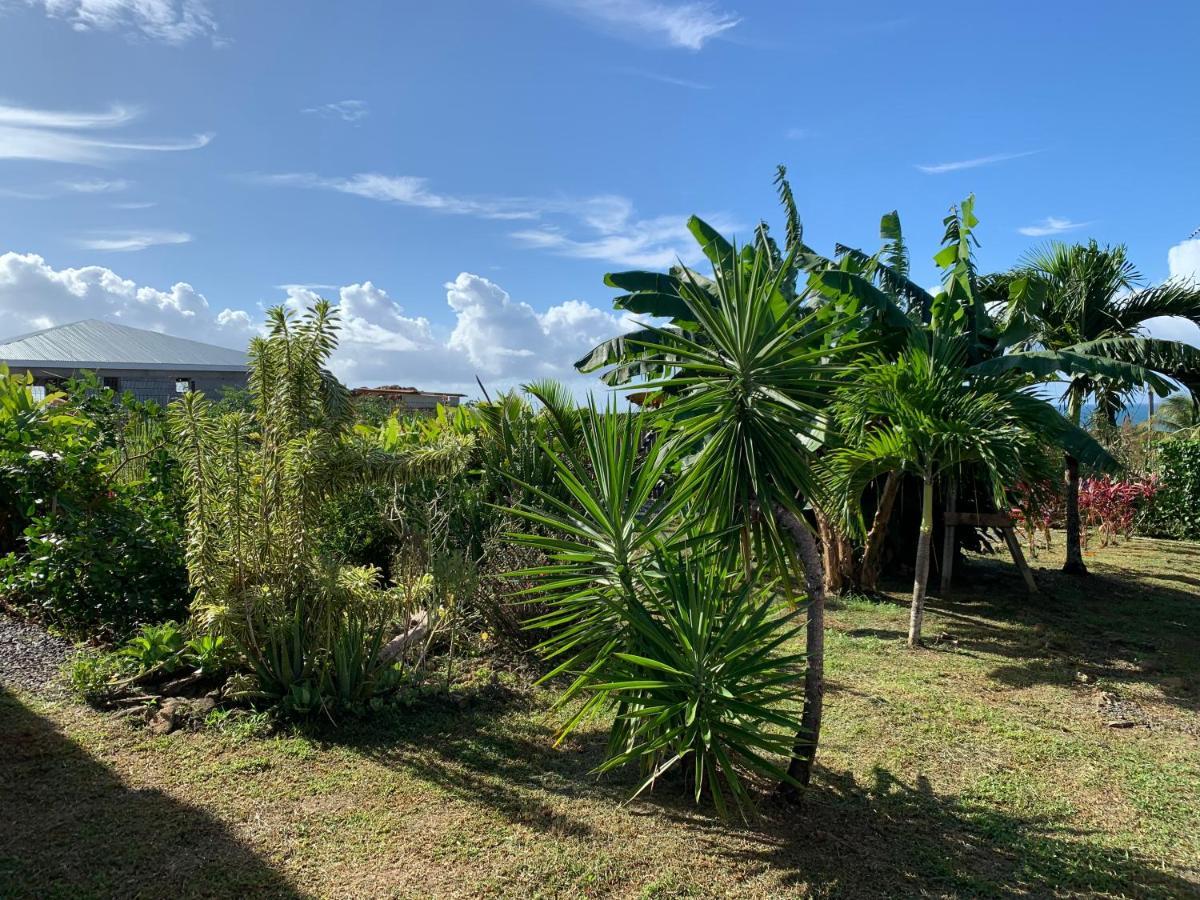 Gîte face à la mer des caraibes Sainte-Rose Eksteriør bilde