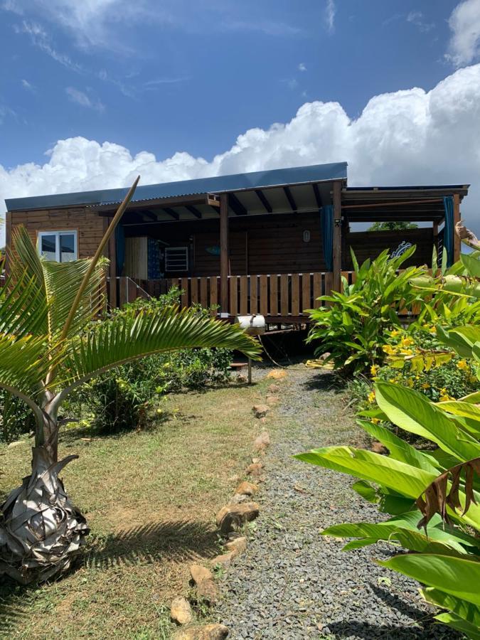 Gîte face à la mer des caraibes Sainte-Rose Eksteriør bilde